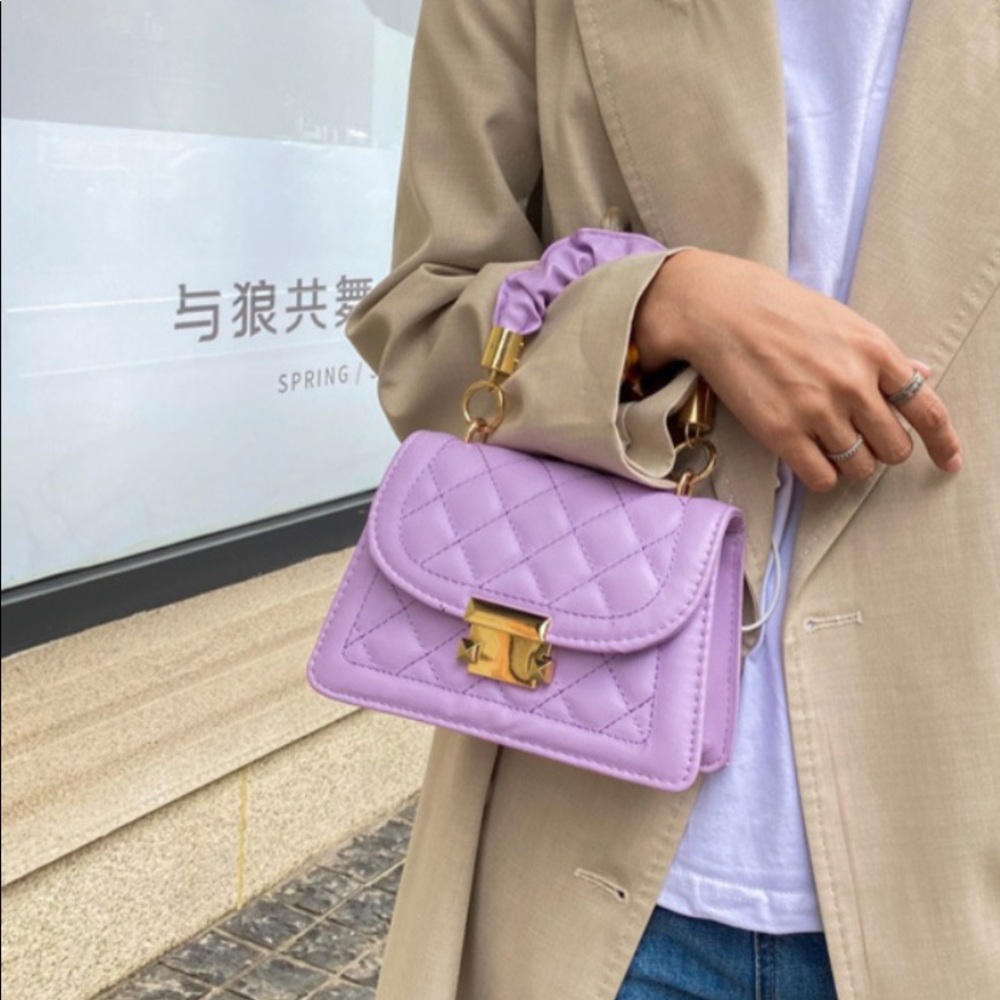 Mini Trendy Handbag Quilted